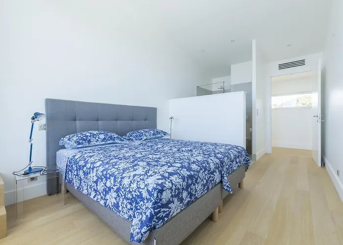 Dzov * Saint-Cyr-sur-Mer